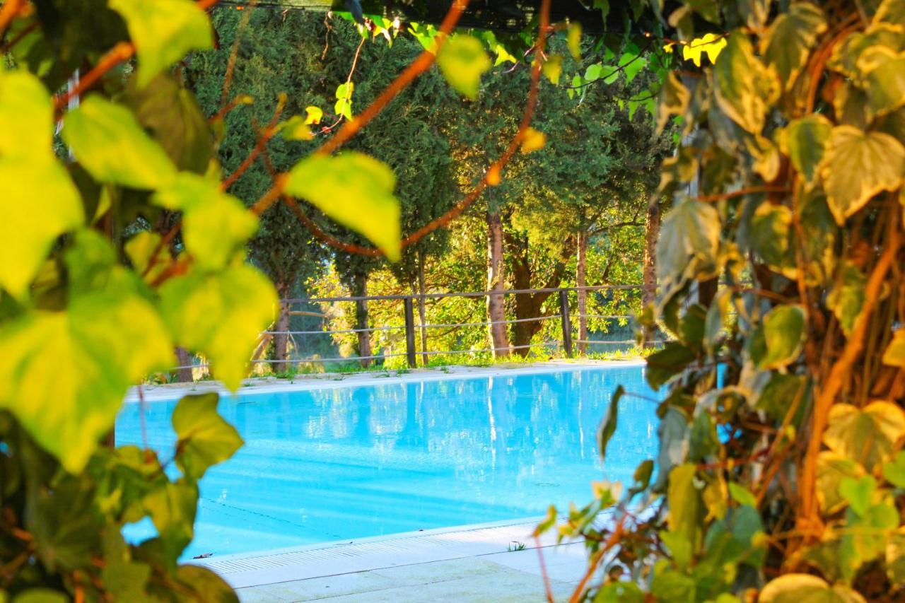 Coimbra Camping & Bungalows Ngoại thất bức ảnh